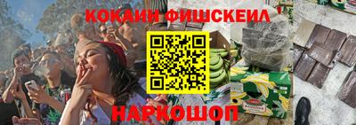 гашик Моздок