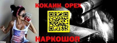 гашик Моздок