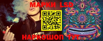 гашик Моздок