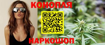 гашик Моздок