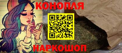 гашик Моздок