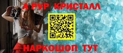 гашик Моздок
