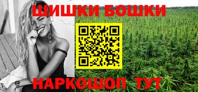 гашик Моздок