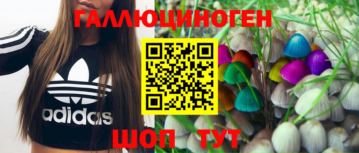 Псилоцибиновые грибы мухоморы  Вход с VPN  где купить   Рузаевка 